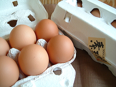 新鮮な放し飼い鶏の卵をお届け