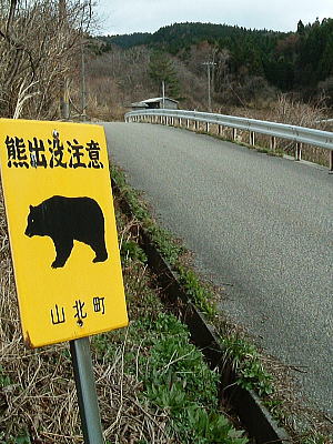 鶏舎近くに立つ熊注意看板春バージョン