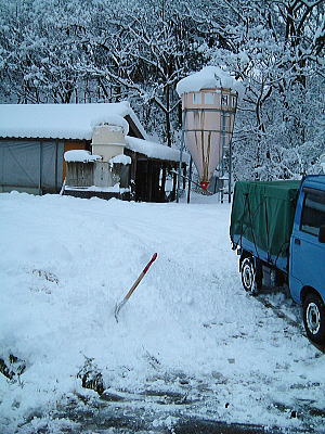 24時間でこんなに降りました。まさに豪雪