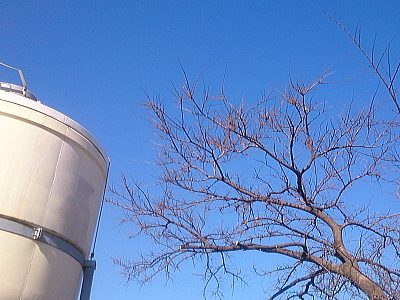 思いは澄んだ空のごとく